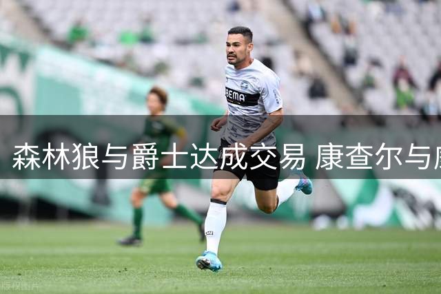 森林狼与爵士达成交易 康查尔与威廉姆斯加盟