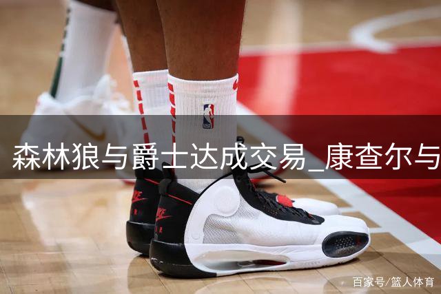森林狼与爵士达成交易 康查尔与威廉姆斯加盟
